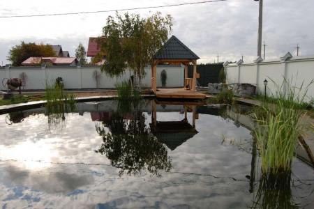 Pond