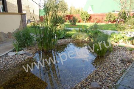 Pond cleaning