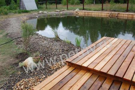 Ponds in the garden