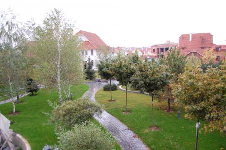 2006