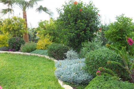 2009. Cyprus