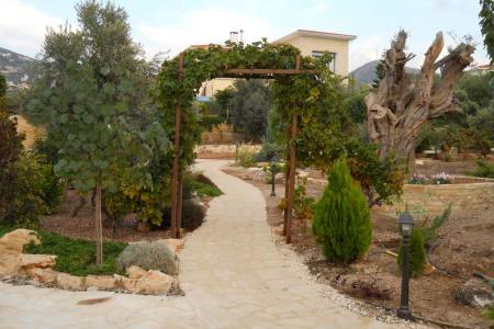 2009. Cyprus