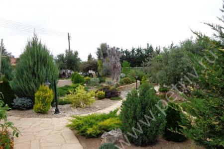 2013. Cyprus