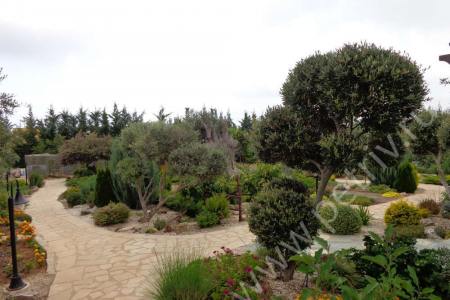 2013. Cyprus