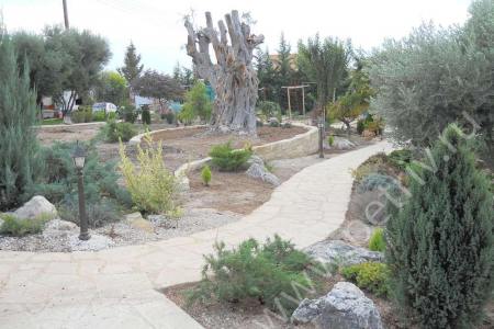 2013. Cyprus