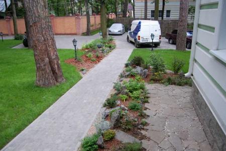 2012. Silver Forest