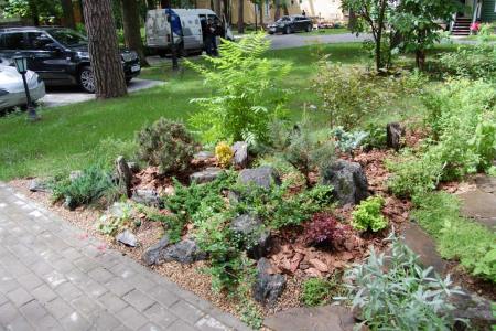 2012. Silver Forest