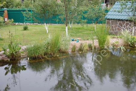 2014. Yudanovka